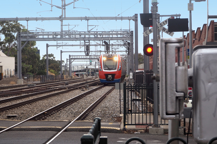 An Adelaide Metro train travelling on a rail line towards a crossing. The train has its headlights on with red and blue livery.