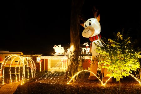 View Nunyah Drive, Banksia Park