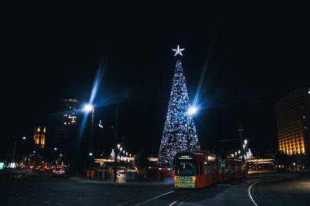 View Giant Christmas Tree, Victoria Square