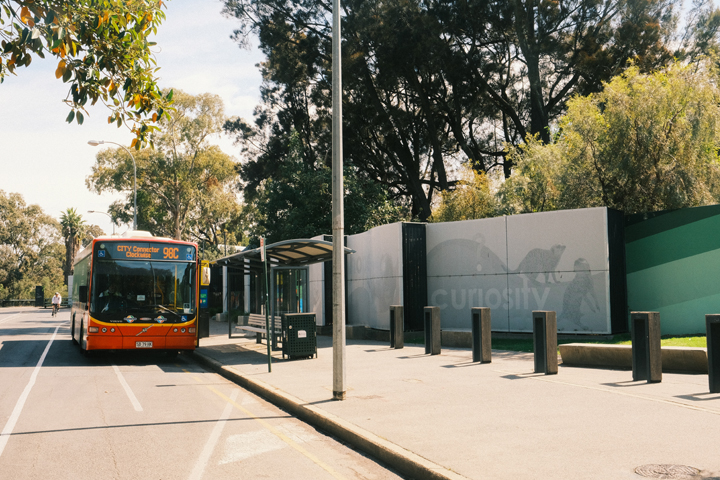 The 98C bus stopped at a bus stop in front of the Adelaide Zoo. 